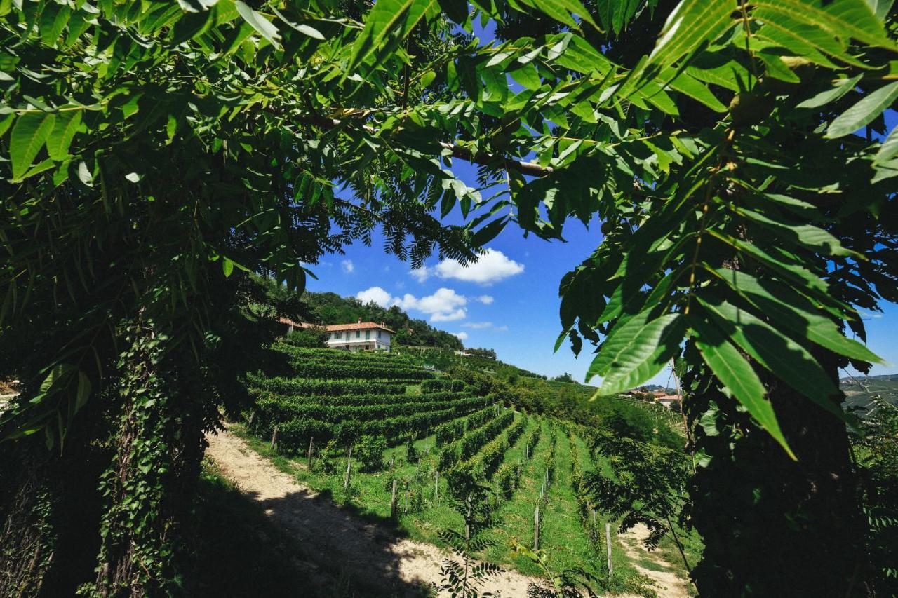 Cascina Flino Apartment Diano d'Alba Luaran gambar