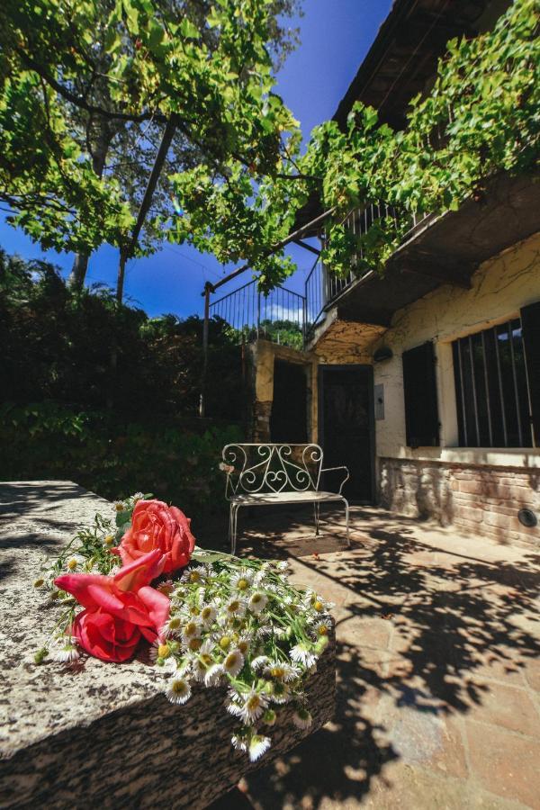Cascina Flino Apartment Diano d'Alba Luaran gambar